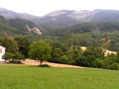 Carpegna nature 13.JPG