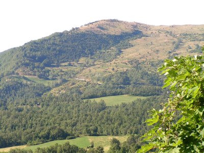 Carpegna landscape.JPG