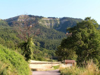 Carpegna landscapes 1.JPG