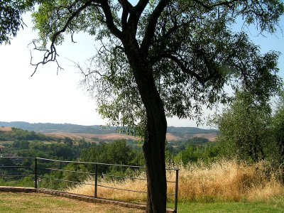 Tuscan countryside 1.JPG