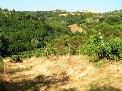 Tuscan countryside 7.JPG