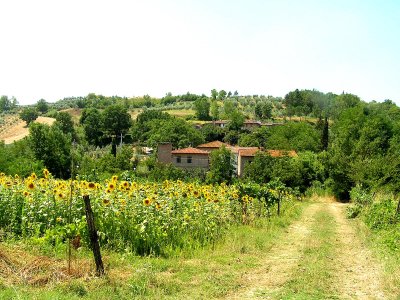Tuscan landscapes.JPG