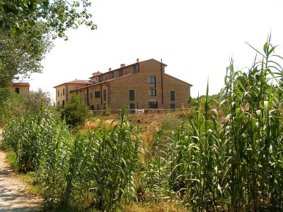 Tuscan landscapes 2.JPG