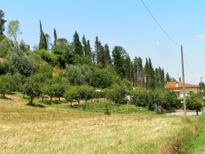 Tuscan landscapes 15.JPG