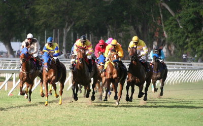 Horse Racing 1