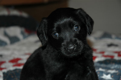 Fred at 4 weeks old.