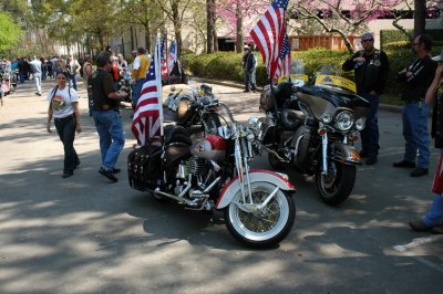 DSC_7569em.jpg