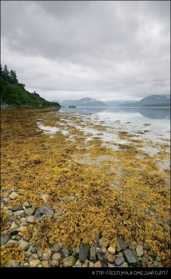 Loch Linnhe