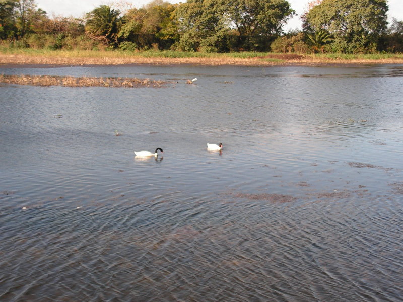 PICT0108.JPG