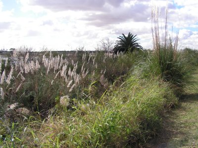 PICT0021.JPG
