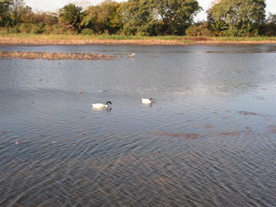PICT0108.JPG