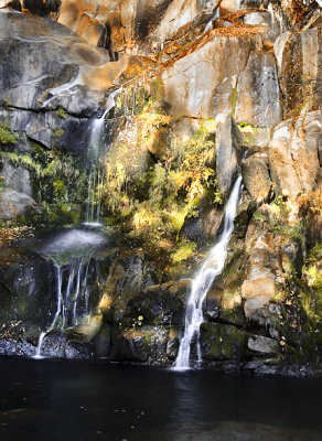 Lewis Creek Near Yosemite