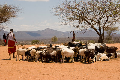 Samburu  Village 19.jpg