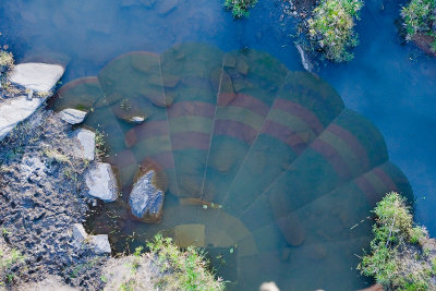 Balloon Reflection Masai Mara.jpg