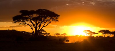 Kenya Photo Safari