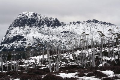 Overland Trail, Winter 2007