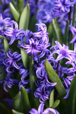 img_9649_r1.jpg