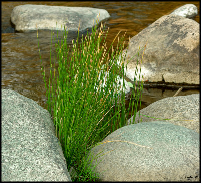 IMGP2865w.jpg
