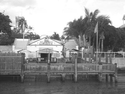 KEY WEST