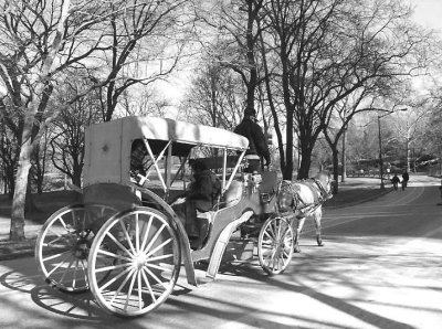CENTRAL PARK NEW YORK CITY