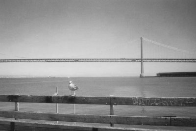SAN FRANCISCO BAY BRIDGE