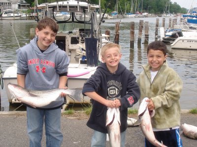 05/20/2007 Kolodin Charter