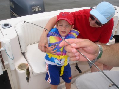 5/28/2008 - Colby with 1st perch!