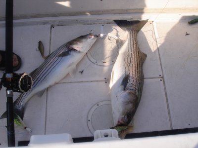 5/31/2007 - Doubles