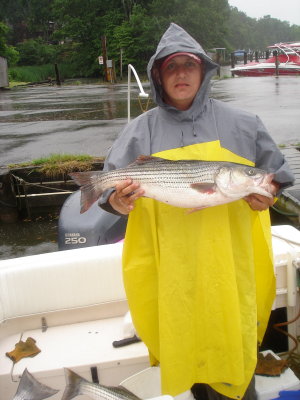 6/3/07 Aring Charter