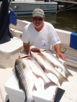 6/9/2007 - Limited out - live lining on light tackle