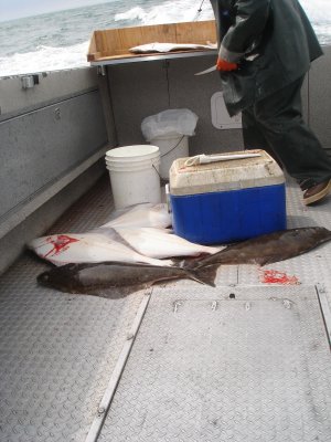 Ninilchek Halibut Fishing Charter