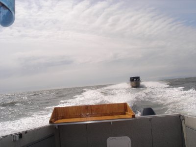 Ninilchek Halibut Fishing Charter