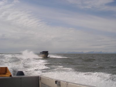 Ninilchek Halibut Fishing Charter