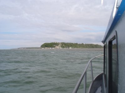 Ninilchek Halibut Fishing Charter