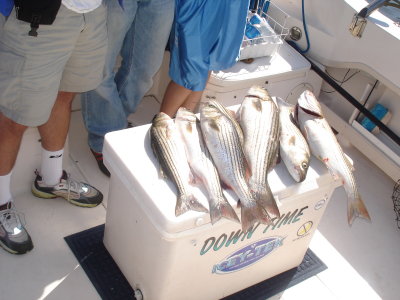 7/2/2007 - Drummer Charter
