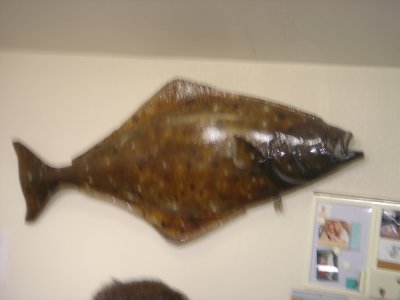 Ninilchek Halibut Fishing Charter