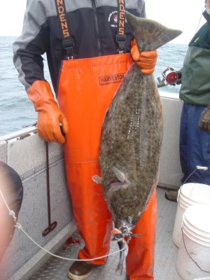 Ninilchek Halibut Fishing Charter