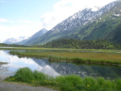 Scenic Views from Anchorage to Seward and more..
