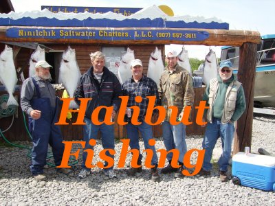 Halibut Fishing at Cook Inlet - Ninilchek