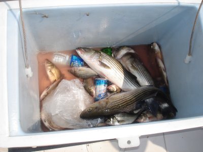9/8/2007 Cichette Charter