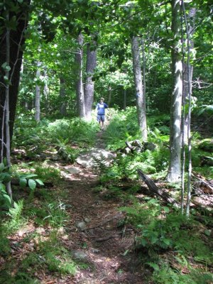 IMG_3039 (Large).jpg
