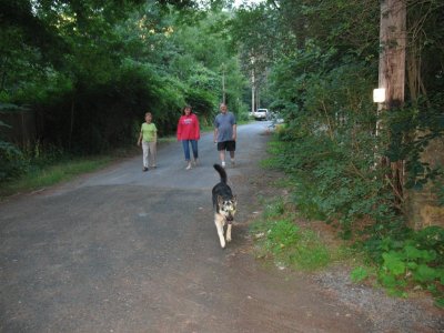 IMG_3055 (Large).jpg