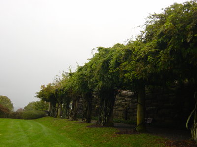 gardens at Biltmore Estate