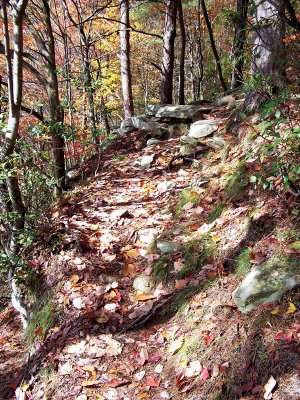 Big Creek Rim Trail
