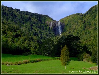 Wairere Falls (153m high), North Island