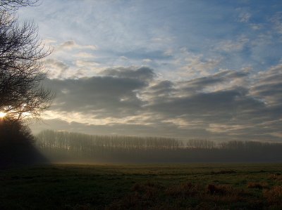 Ruysdael