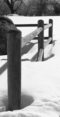 BW fence posts in snow - straight.jpg