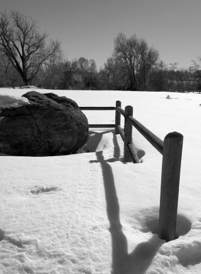 BW fence posts in snow -II.jpg