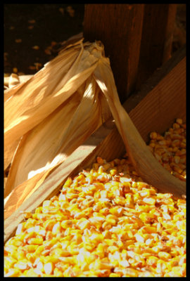 Corn Sheller's Bounty