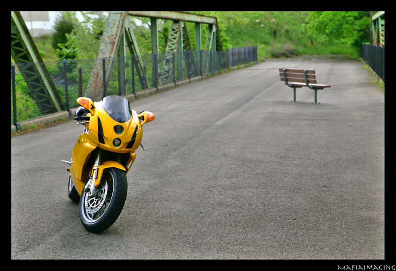 Duc6.jpg
